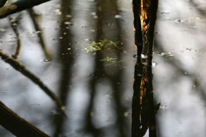foto's Anja Zwanenburg