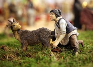 dieren-bethlehem-081